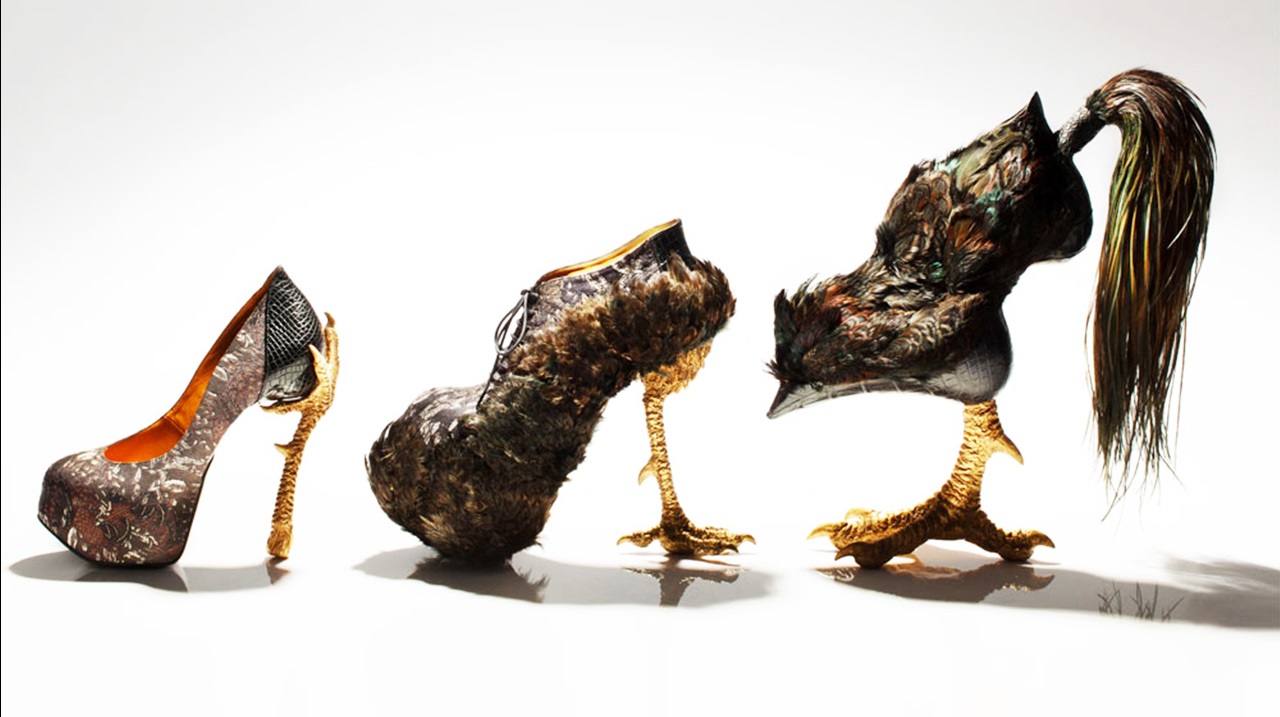 "Bird-witched" shoes by Masaya Kushino, now on view at The Brooklyn Museum. Image courtesy of artist.  