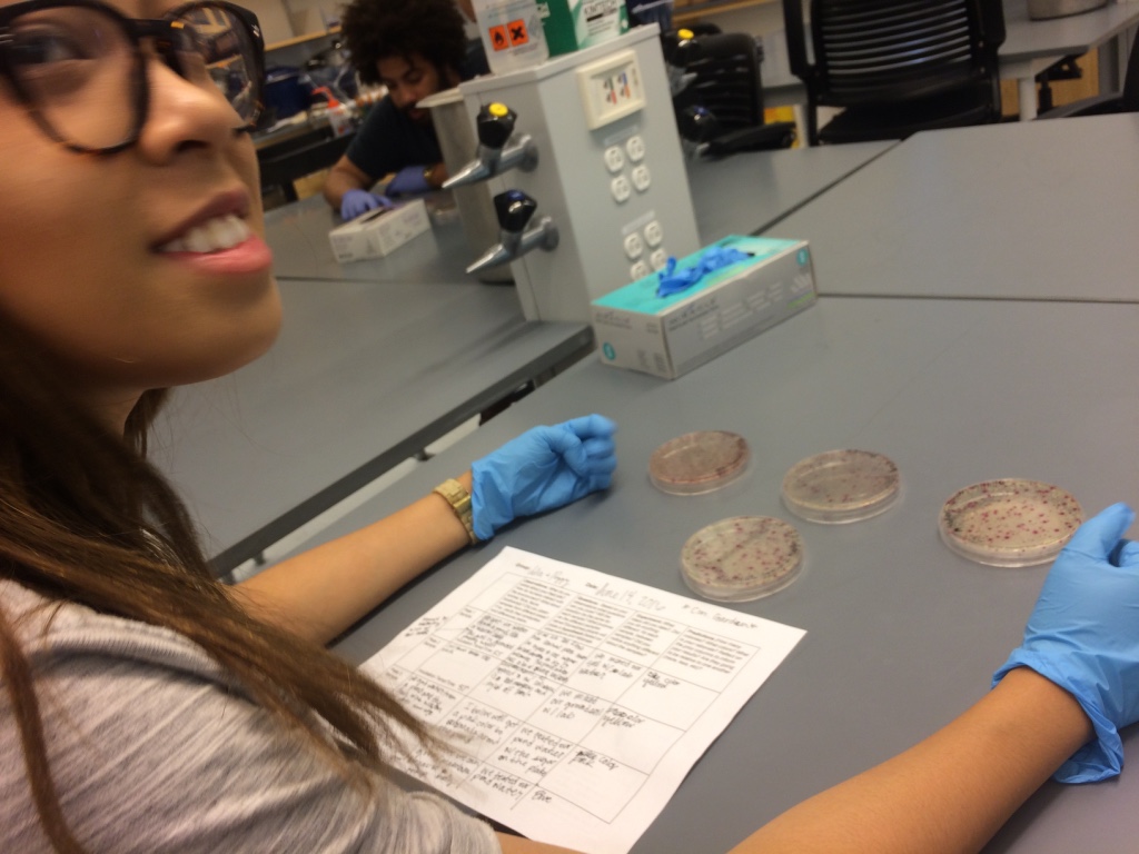 Student analyzing samples