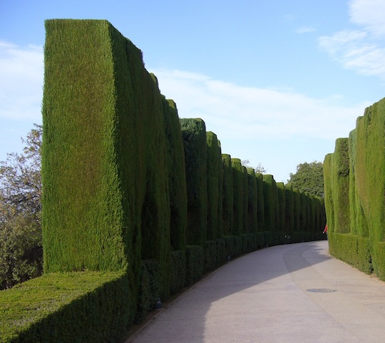 A tree-lined path at the Alhambra